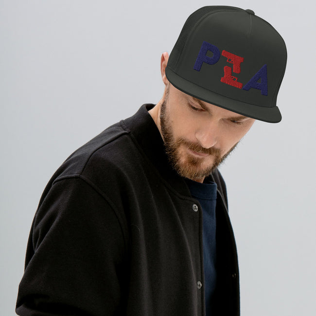 P2A Logo Snapback